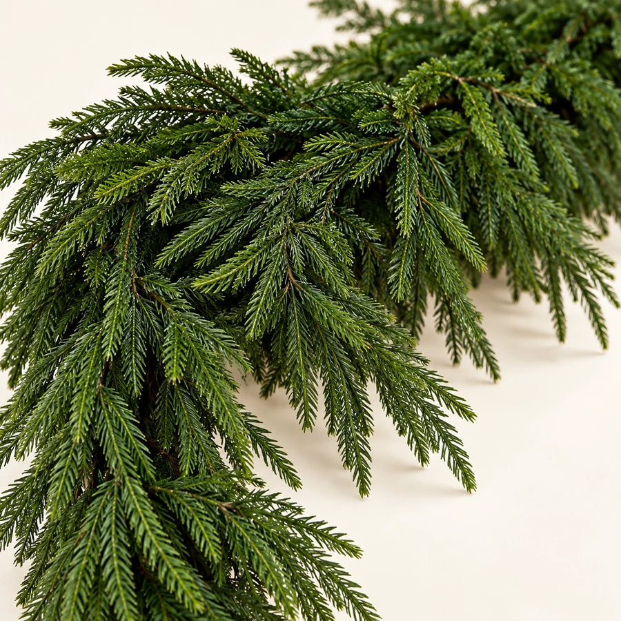 Norfolk Pine Garland — Close-up details